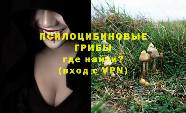 герыч Касимов