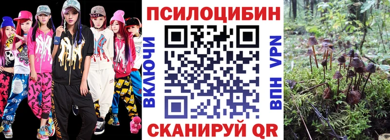 Псилоцибиновые грибы Cubensis  blacksprut как войти  Нариманов 
